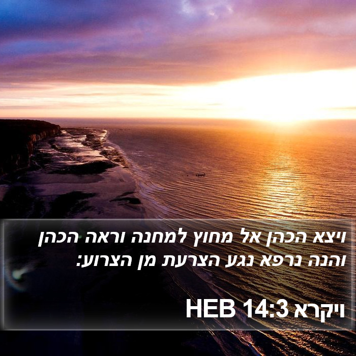 ויקרא 14:3 HEB Bible Study