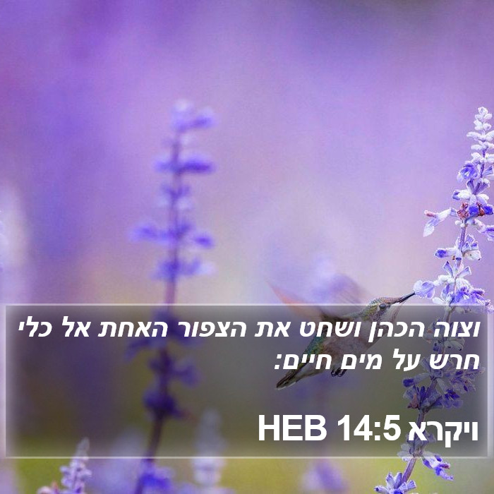 ויקרא 14:5 HEB Bible Study