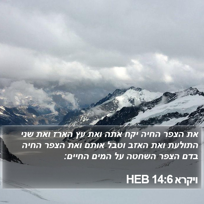 ויקרא 14:6 HEB Bible Study