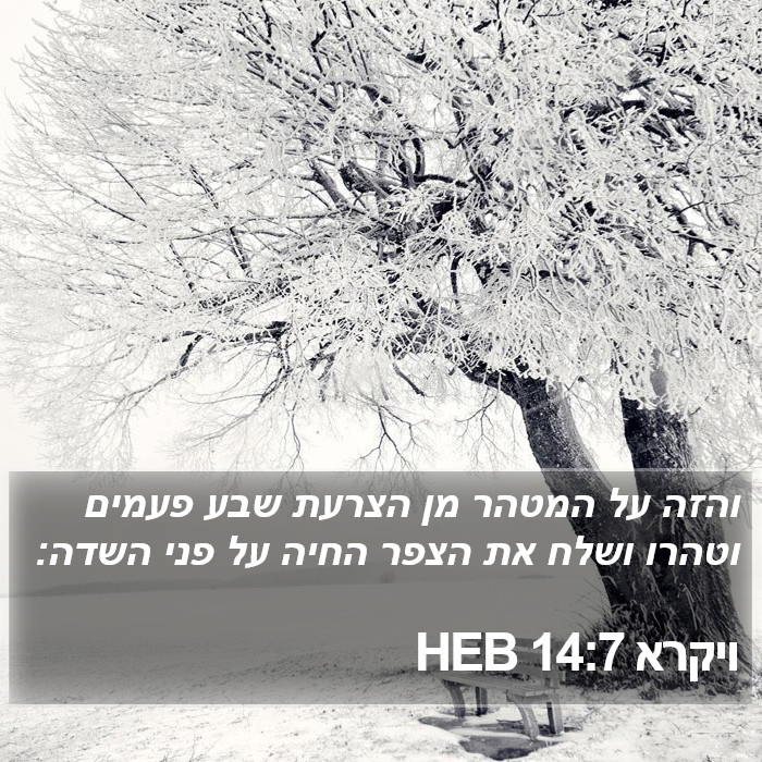 ויקרא 14:7 HEB Bible Study