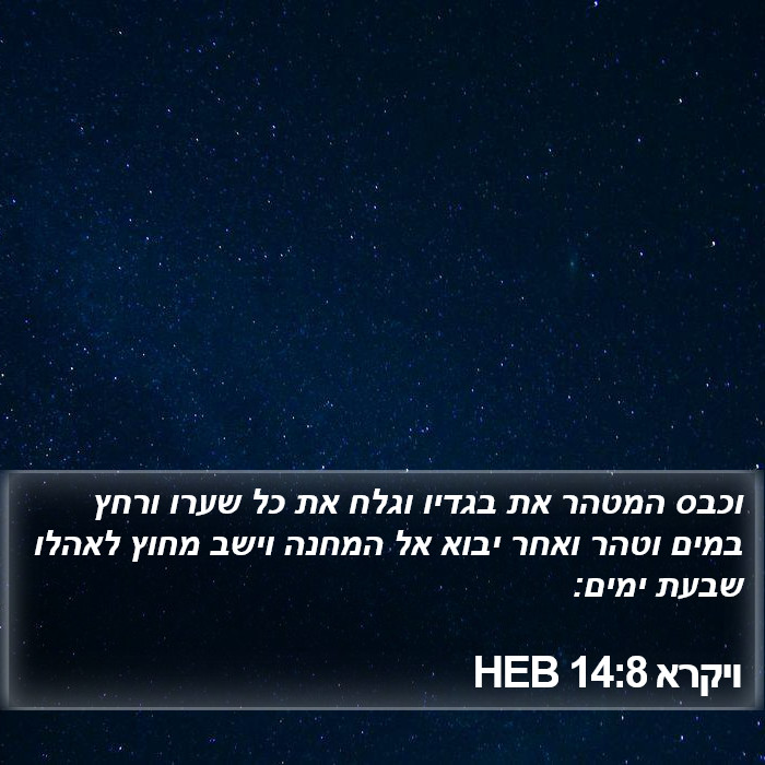 ויקרא 14:8 HEB Bible Study