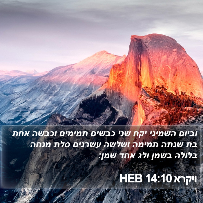 ויקרא 14:10 HEB Bible Study