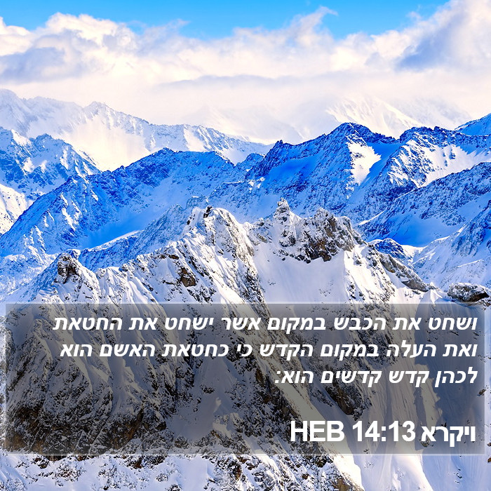 ויקרא 14:13 HEB Bible Study