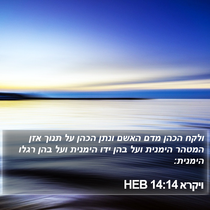 ויקרא 14:14 HEB Bible Study