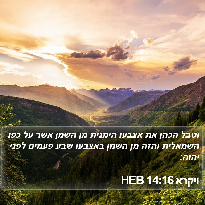 ויקרא 14:16 HEB Bible Study