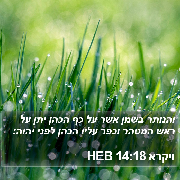 ויקרא 14:18 HEB Bible Study