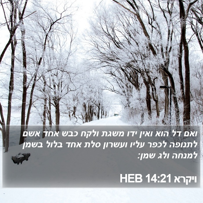 ויקרא 14:21 HEB Bible Study