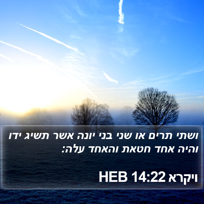 ויקרא 14:22 HEB Bible Study