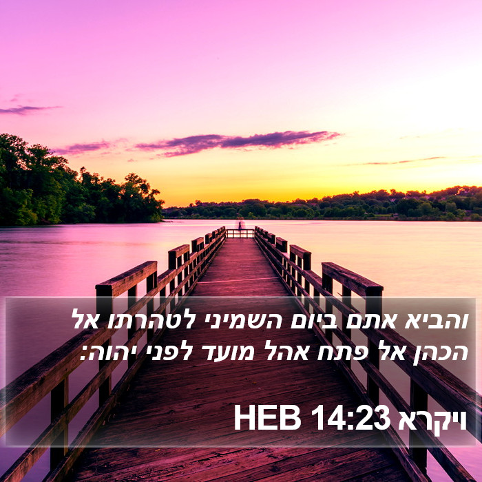 ויקרא 14:23 HEB Bible Study