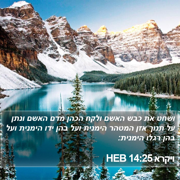 ויקרא 14:25 HEB Bible Study