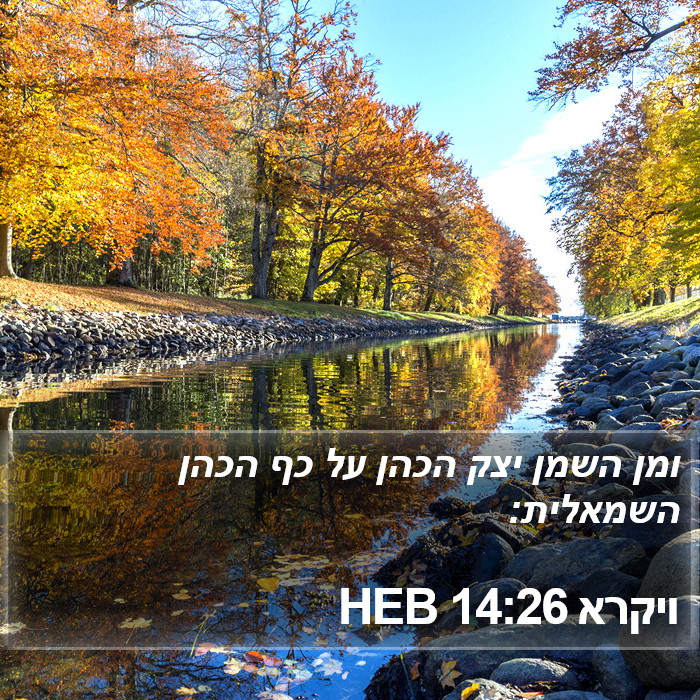 ויקרא 14:26 HEB Bible Study