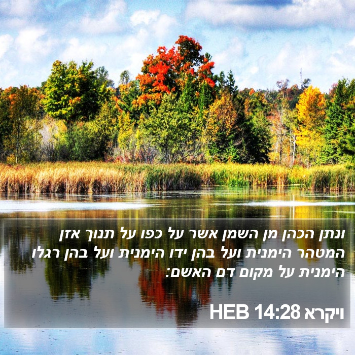 ויקרא 14:28 HEB Bible Study