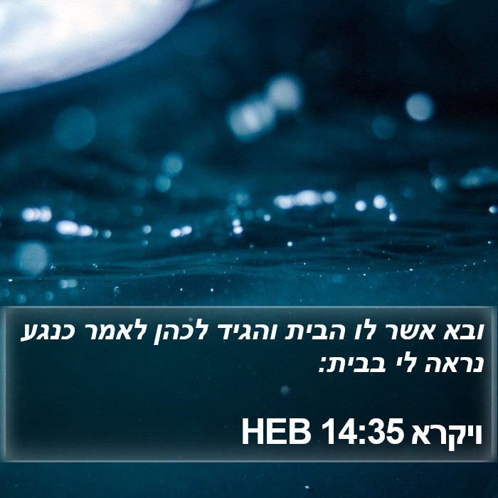 ויקרא 14:35 HEB Bible Study