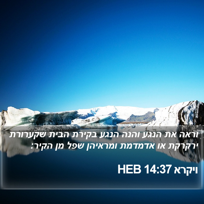 ויקרא 14:37 HEB Bible Study