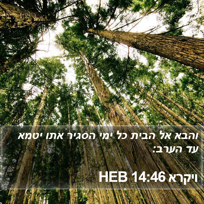 ויקרא 14:46 HEB Bible Study