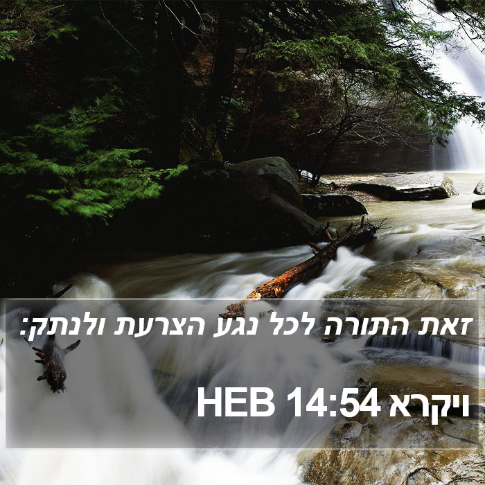 ויקרא 14:54 HEB Bible Study