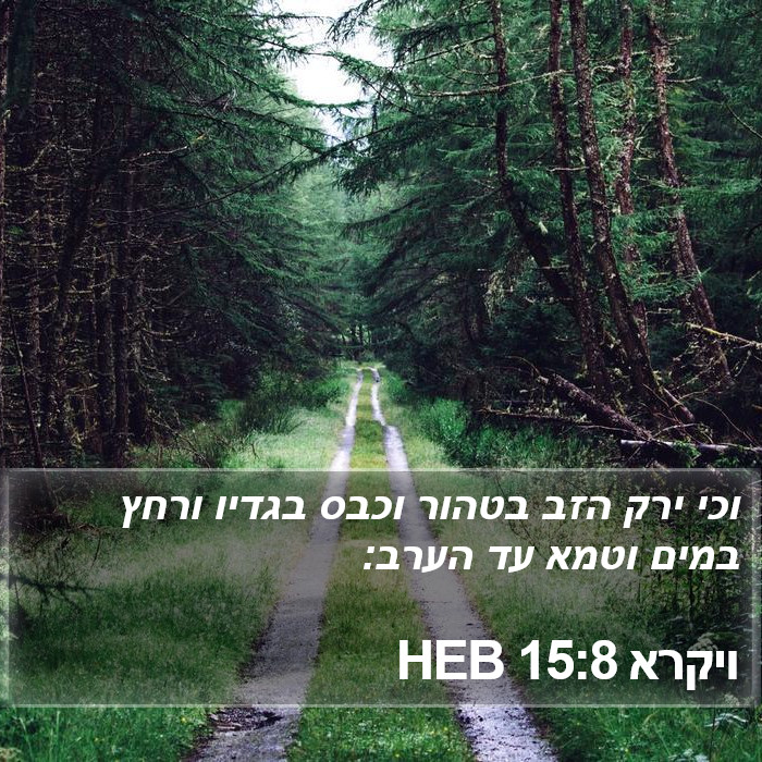 ויקרא 15:8 HEB Bible Study