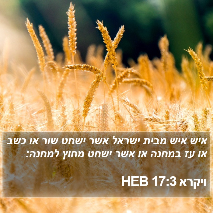 ויקרא 17:3 HEB Bible Study