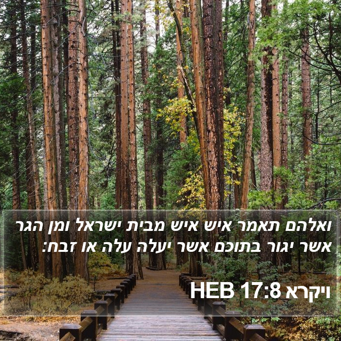 ויקרא 17:8 HEB Bible Study