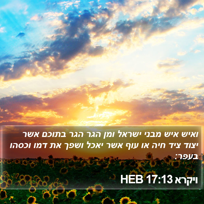 ויקרא 17:13 HEB Bible Study