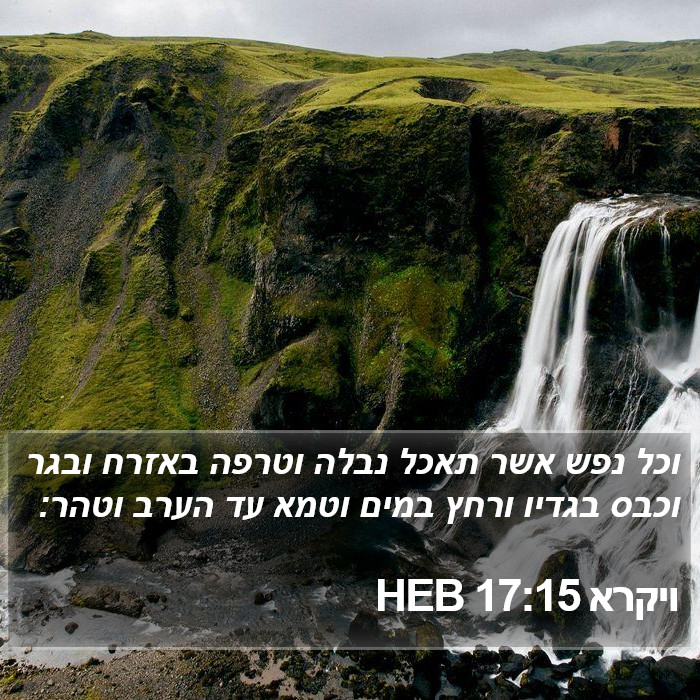 ויקרא 17:15 HEB Bible Study