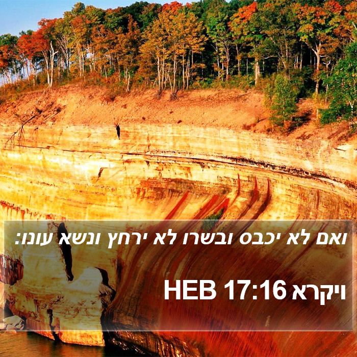 ויקרא 17:16 HEB Bible Study