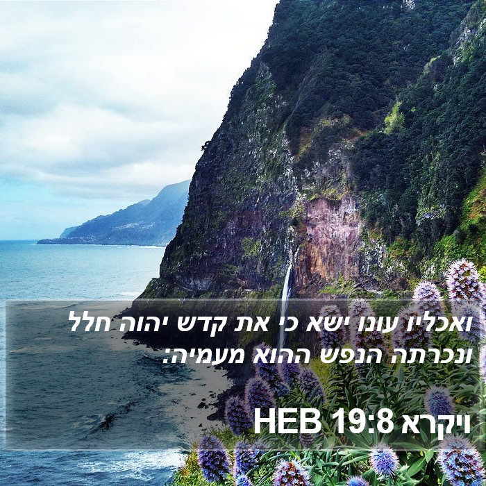 ויקרא 19:8 HEB Bible Study