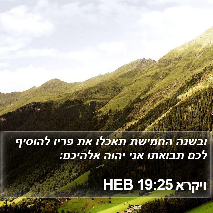 ויקרא 19:25 HEB Bible Study