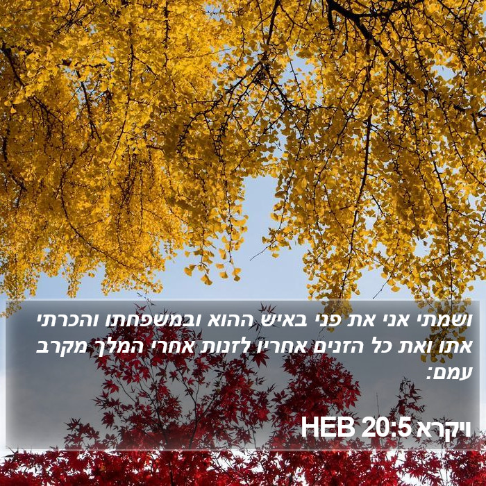 ויקרא 20:5 HEB Bible Study