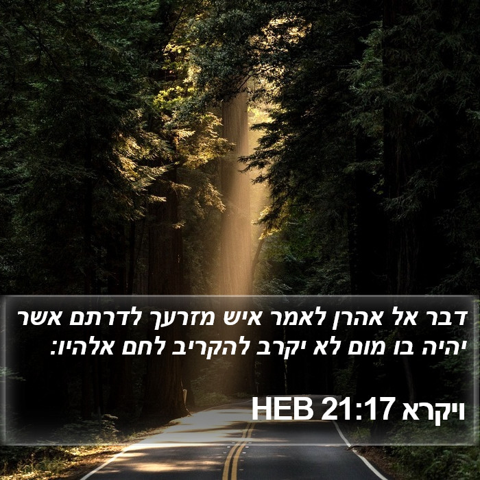 ויקרא 21:17 HEB Bible Study