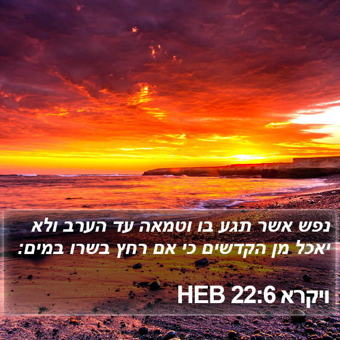 ויקרא 22:6 HEB Bible Study