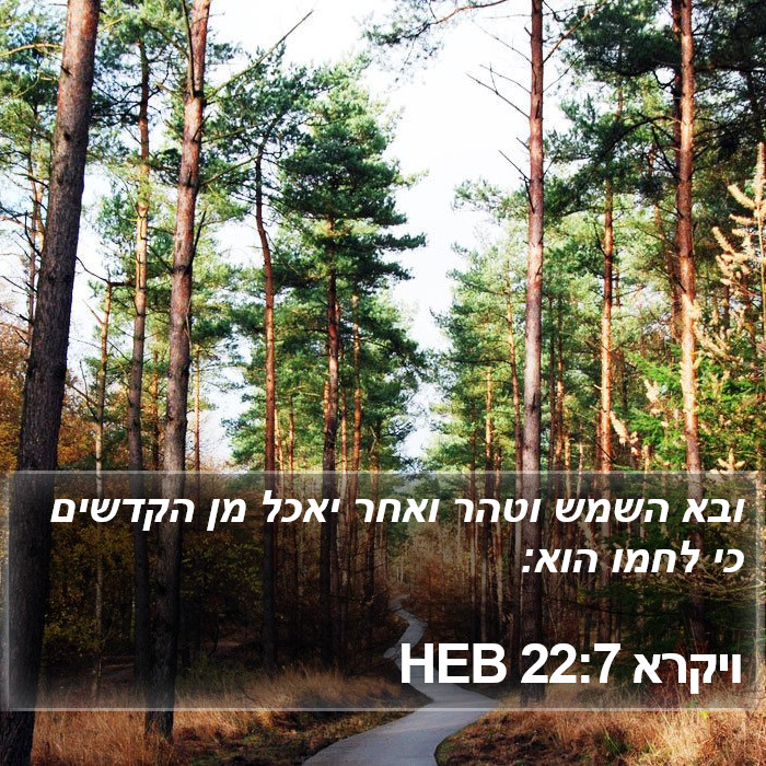 ויקרא 22:7 HEB Bible Study