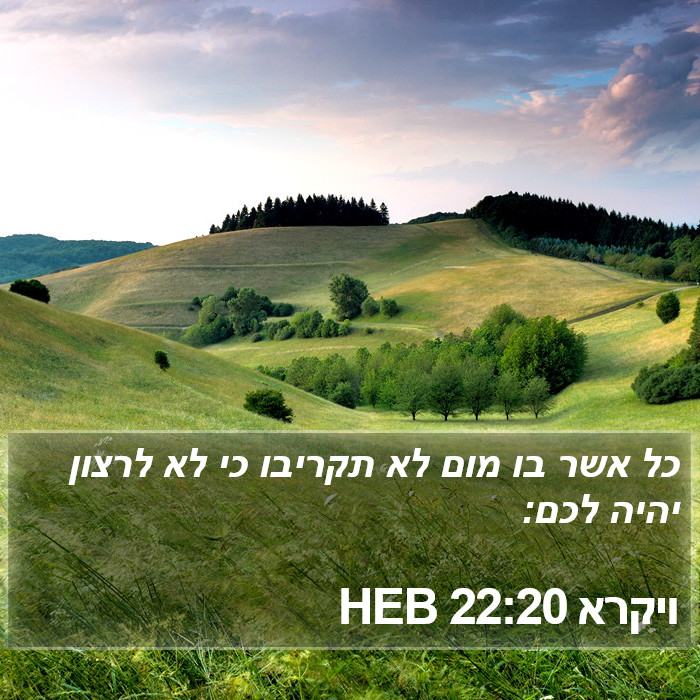 ויקרא 22:20 HEB Bible Study