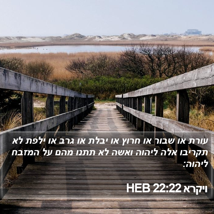 ויקרא 22:22 HEB Bible Study