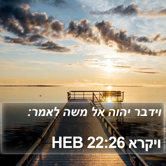 ויקרא 22:26 HEB Bible Study