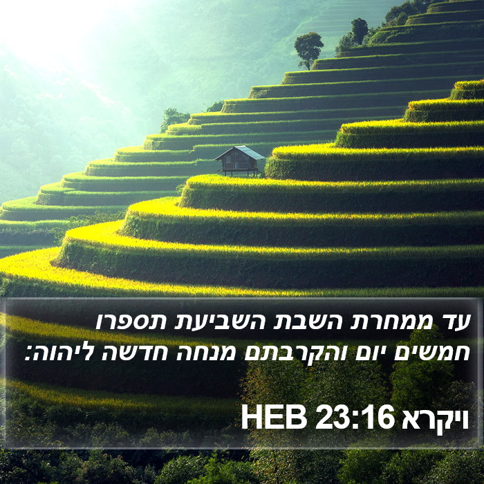 ויקרא 23:16 HEB Bible Study