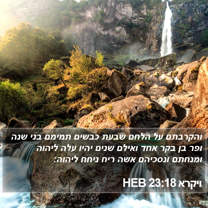 ויקרא 23:18 HEB Bible Study