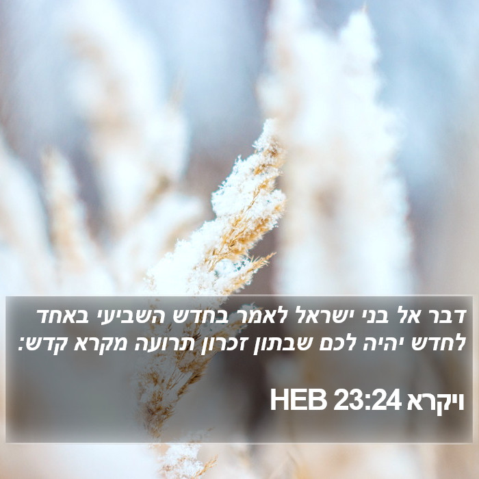 ויקרא 23:24 HEB Bible Study