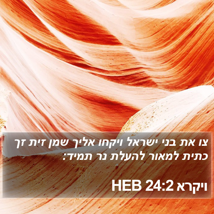 ויקרא 24:2 HEB Bible Study