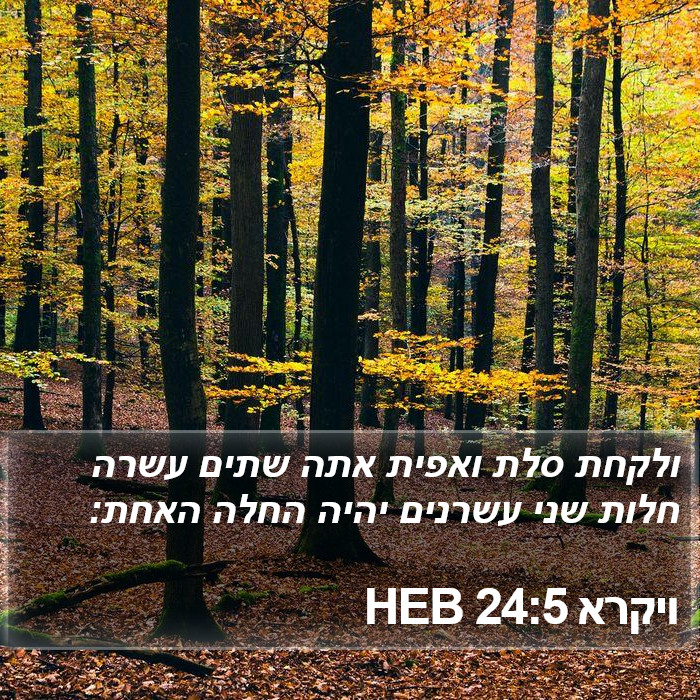 ויקרא 24:5 HEB Bible Study