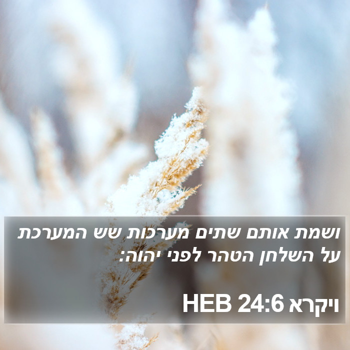 ויקרא 24:6 HEB Bible Study