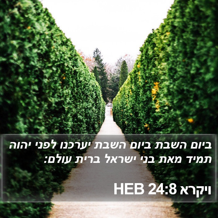 ויקרא 24:8 HEB Bible Study