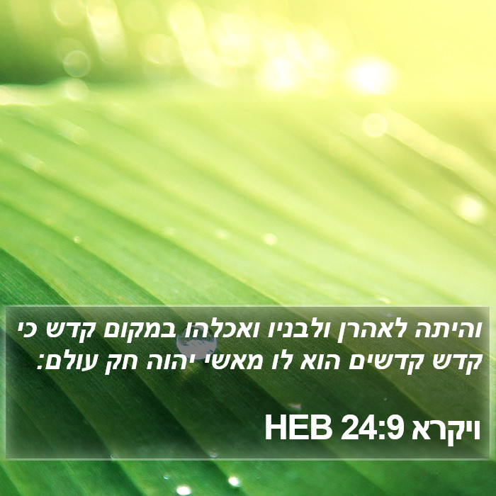 ויקרא 24:9 HEB Bible Study