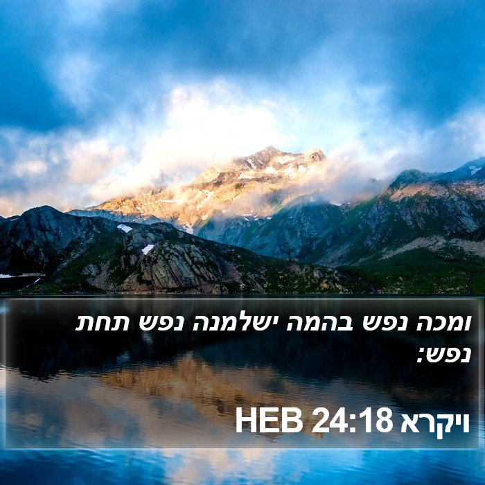 ויקרא 24:18 HEB Bible Study