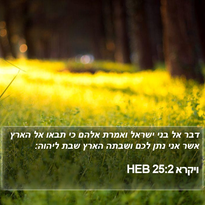 ויקרא 25:2 HEB Bible Study