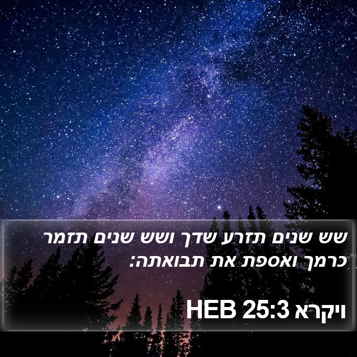 ויקרא 25:3 HEB Bible Study