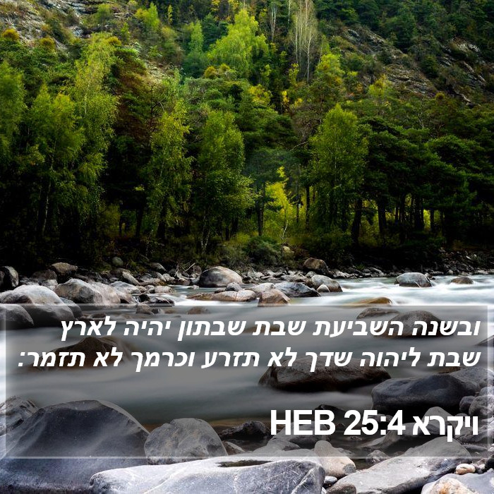 ויקרא 25:4 HEB Bible Study