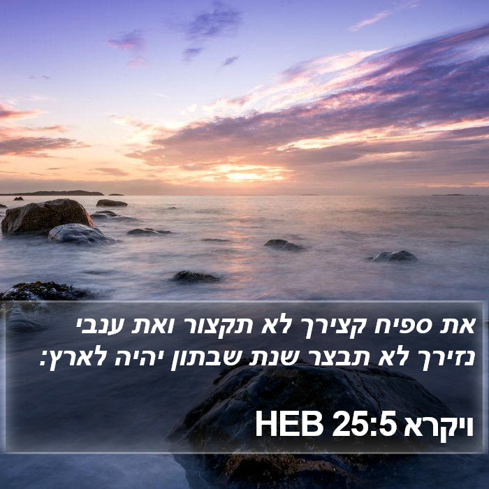 ויקרא 25:5 HEB Bible Study