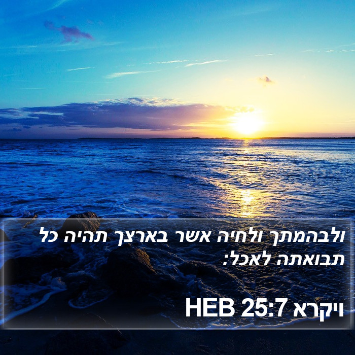 ויקרא 25:7 HEB Bible Study