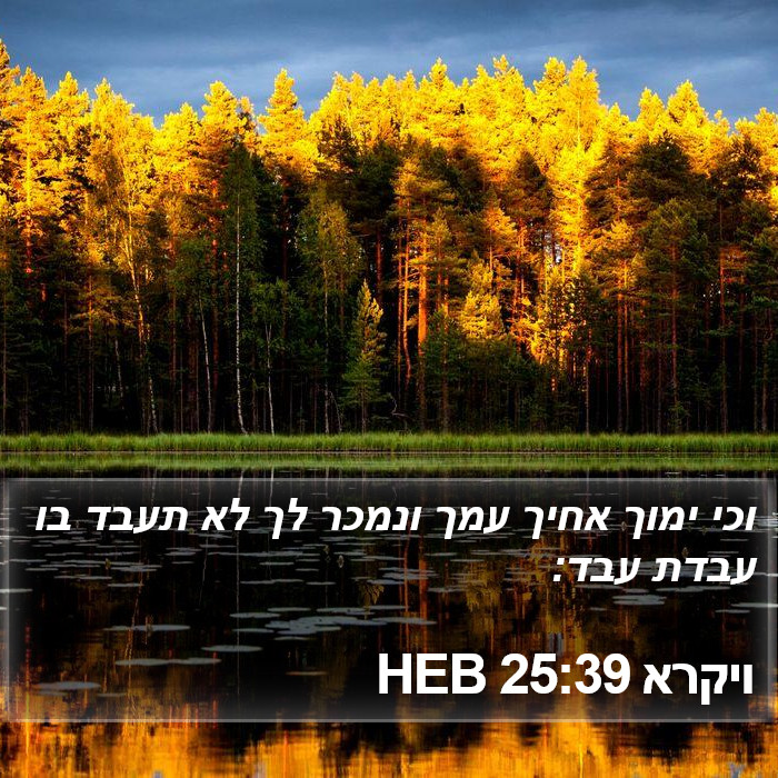 ויקרא 25:39 HEB Bible Study